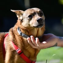 494303977_1016672550582916_2506542846702535104_n_1