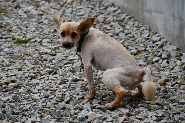 DSC_1269_1