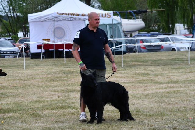 DSC_1502_1
