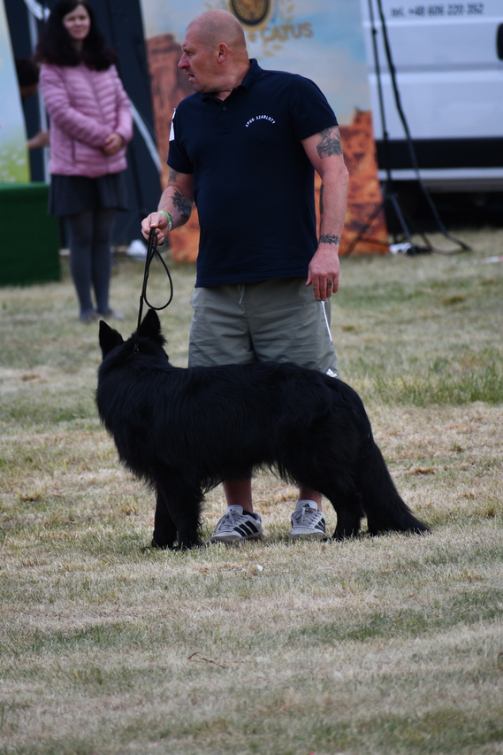DSC_1531